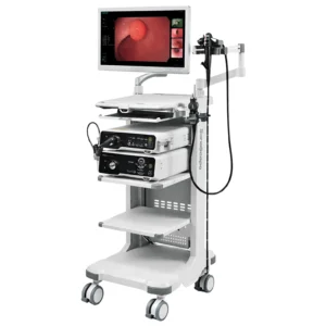 sistema de endoscopía multidisciplinaria