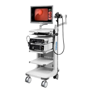 sistema de endoscopía multidisciplinaria